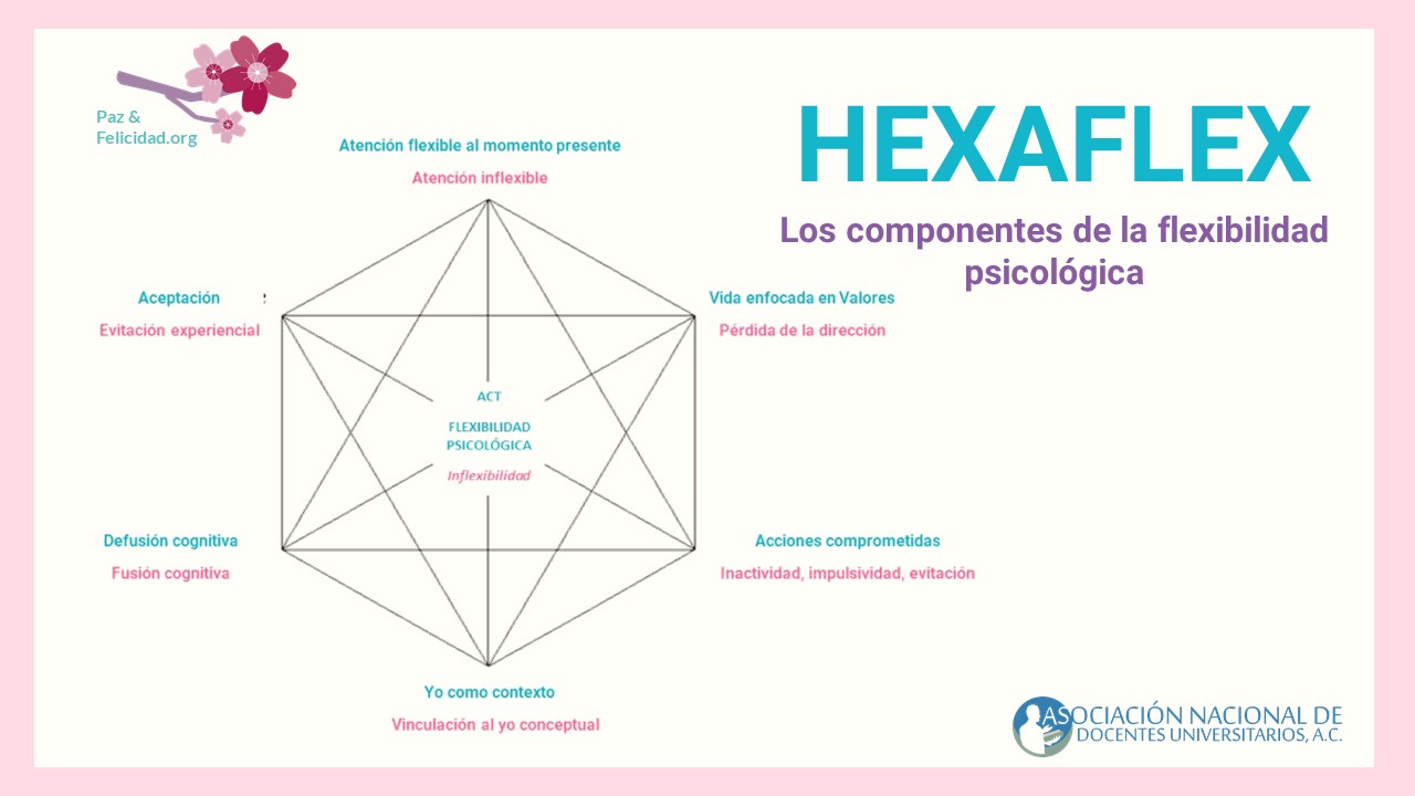 hexaflex_componentes_flexibilidad_psicologica.jpg