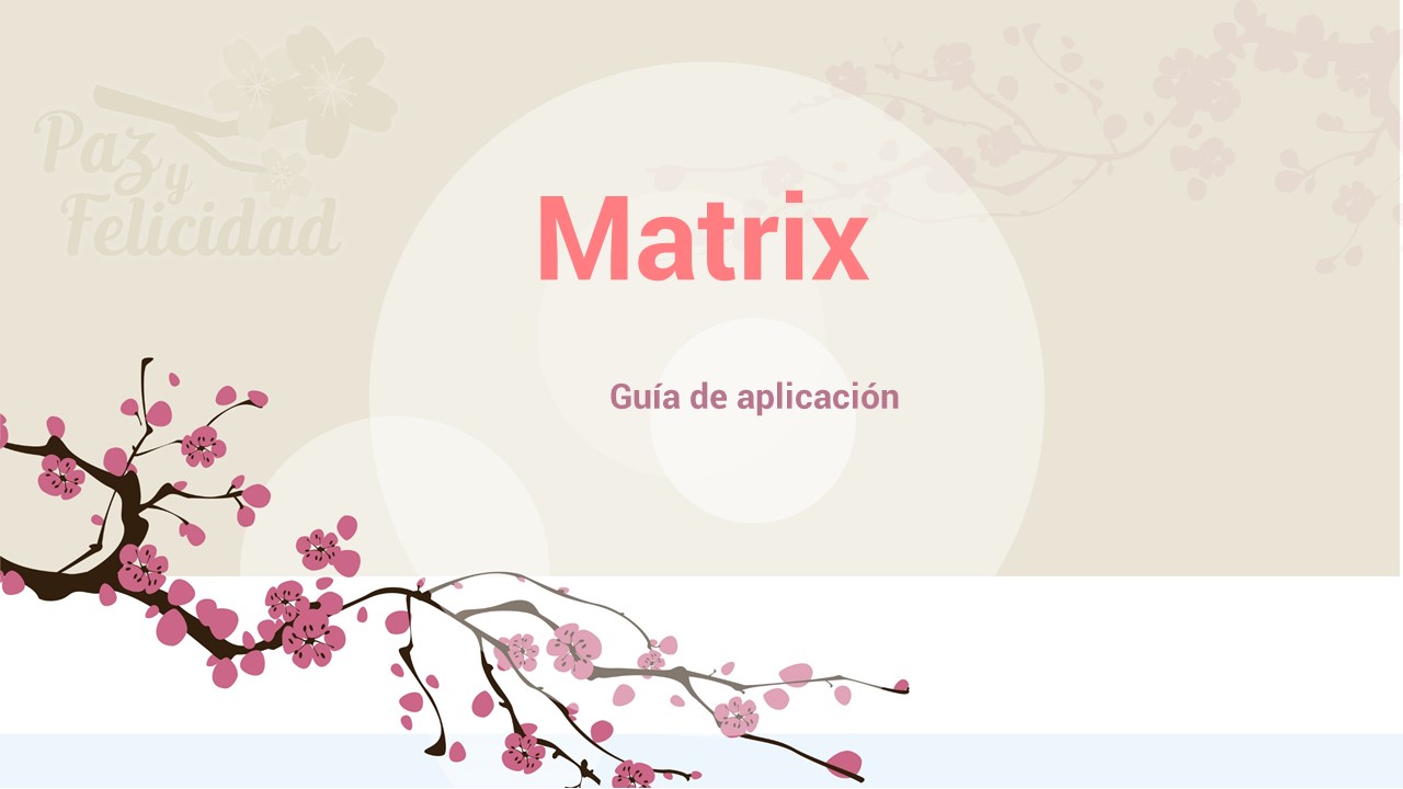 matrix_guia_aplicacion.jpg