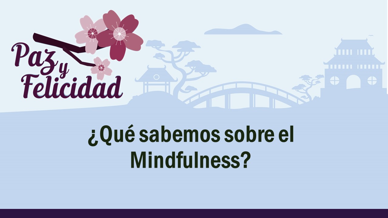 que_sabemos_del_mindfulness.jpg